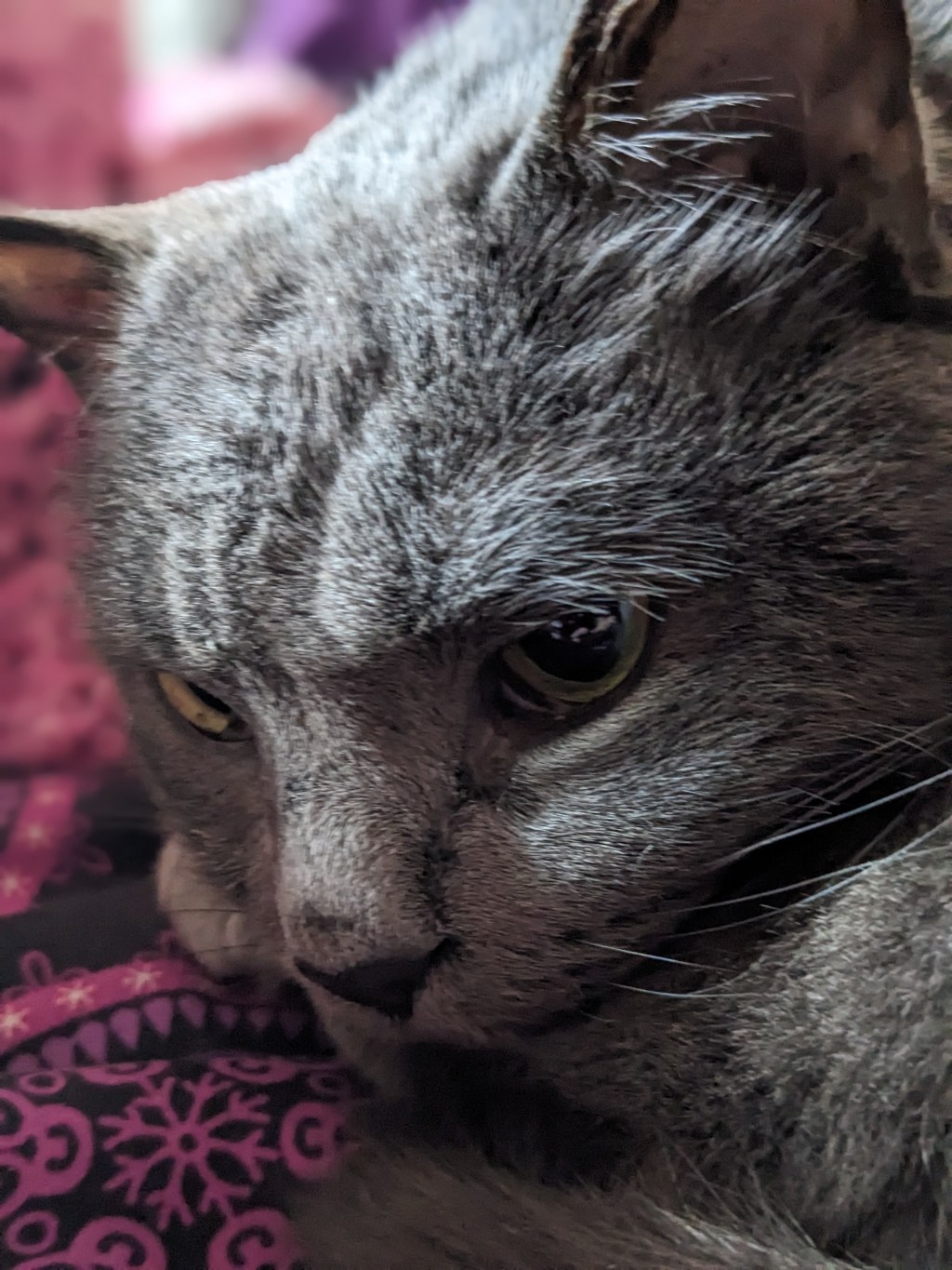 Keeping me safely&nbsp;insane